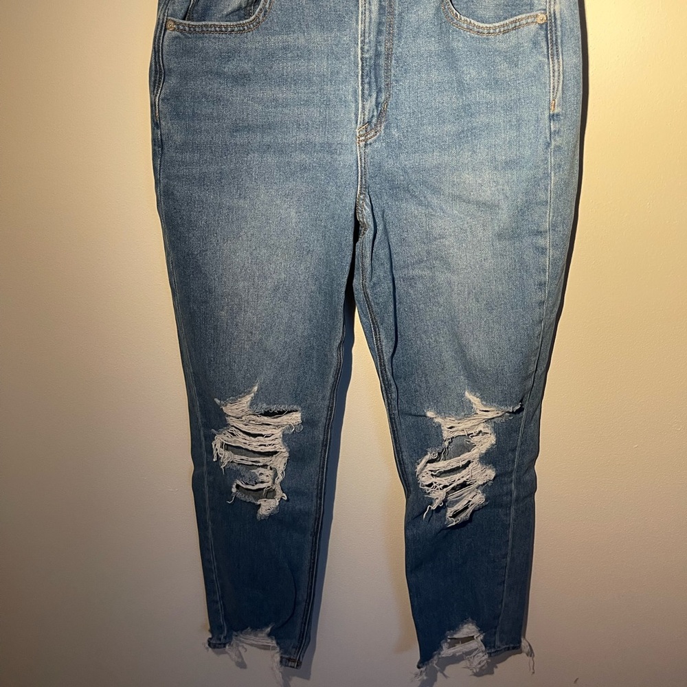 American Eagle Mom Jean